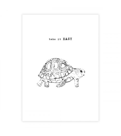 A Beautiful Story Greeting Card Turtle